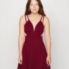 Milly Strap Skater - Cocktailjurk - Wine