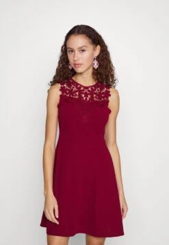 Wal G Accessorie Neck Skater Dress - Cocktailjurk - Wine