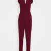 Frill Sleeve - Jumpsuit - Wine
